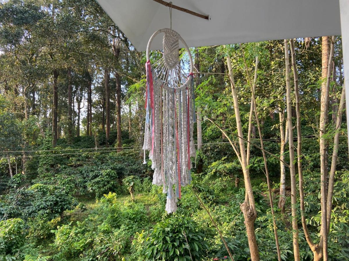 Ammus Homestay 提喀迪 外观 照片
